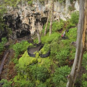 Margaret River attractions