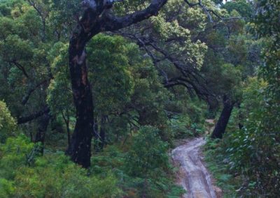 Margaret River off Road tours