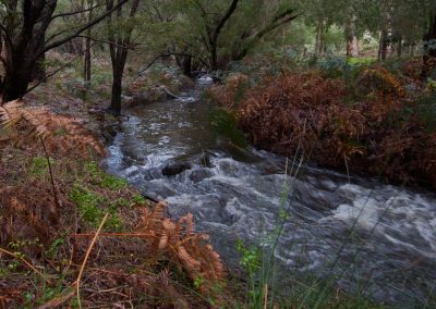 Margaret River tours