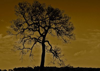 Margaret River photography tours