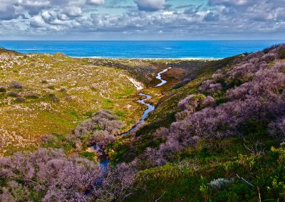 Margaret River day tours