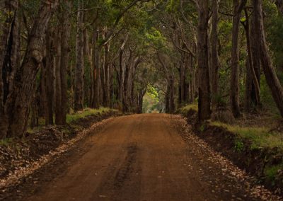 Margaret River tours