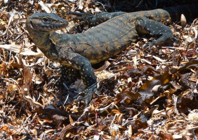 Margaret River photography tours