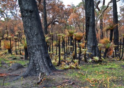 Margaret River day tours