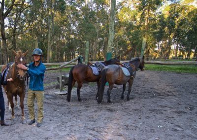 Margaret River tours