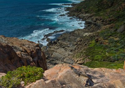 Margaret River tours
