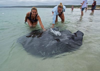 Margaret River attractions