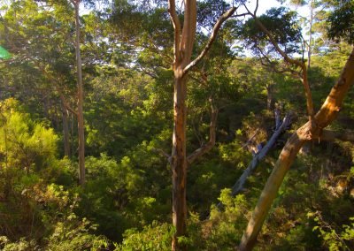 Margaret River tours