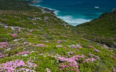 Join Margaret River Exposed tours for the ultimate one-day snapshot of the region.