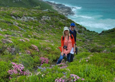 Wildflowers Margaret River Western Australia