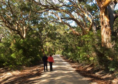 Margaret River tours