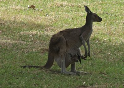 Margaret River tours