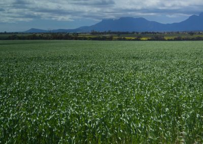 Margaret River tours