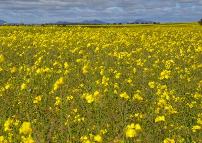 Margaret River Tours