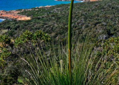 Margaret River tours