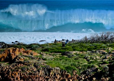 Margaret River day tour