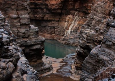 Wildflower tours Western Australia