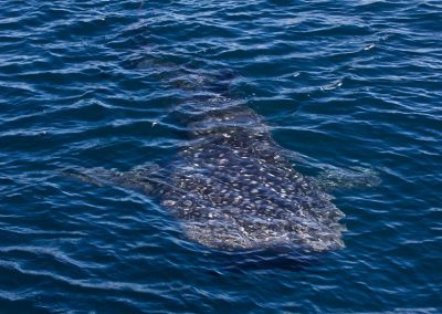 Margaret River tours