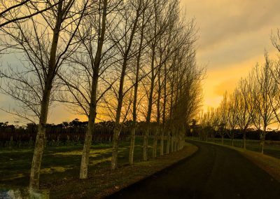 Margaret River tours