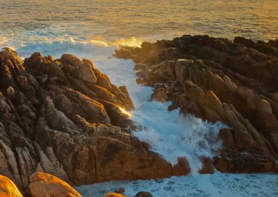 Margaret River Tours