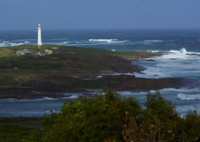 Margaret River Attractions tour