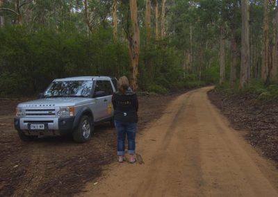 Margaret River Day Tours