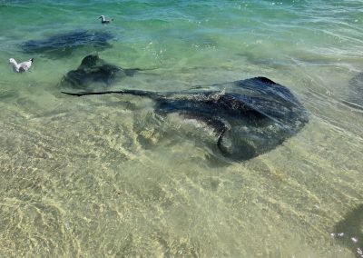 Margaret River Tours